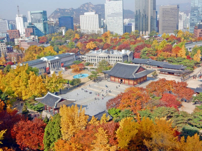 18.Natcha (Thailand)_Fall Foliage in Korea.JPG